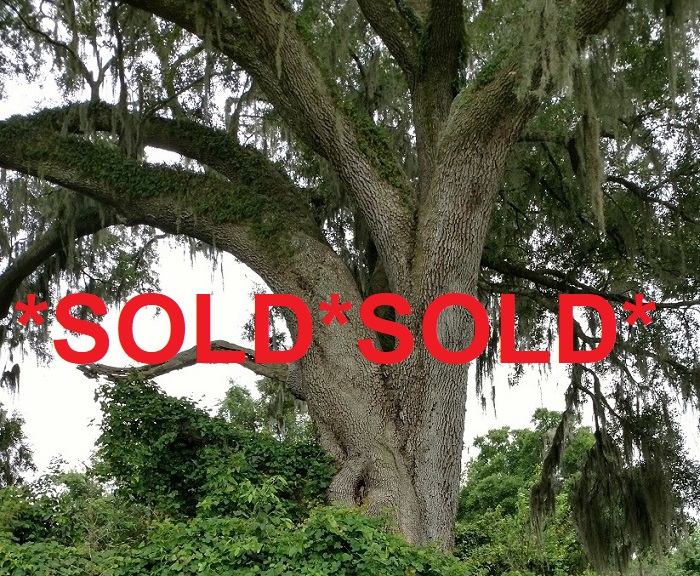 Spring Lake Hwy 10 Acres, Brooksville, Hernando Cty, Fl More Acreage Avail, Poss Owner Financing SOLD
